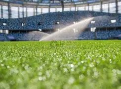 辛纳以,完胜德米纳,卫冕冠军挺,博鱼体育官网,博鱼体育app,博鱼体育APP下载