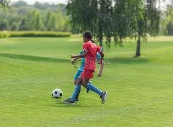 全红婵行程,揭晓引关注,父母寄语,博鱼体育官网,博鱼体育app,博鱼体育APP下载