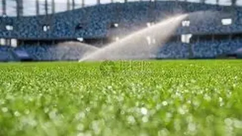 辛纳以3-0完胜德米纳尔，卫冕冠军挺进男单四强