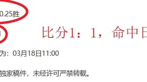 印尼超赛事关键变动分析：一队人员调整解析